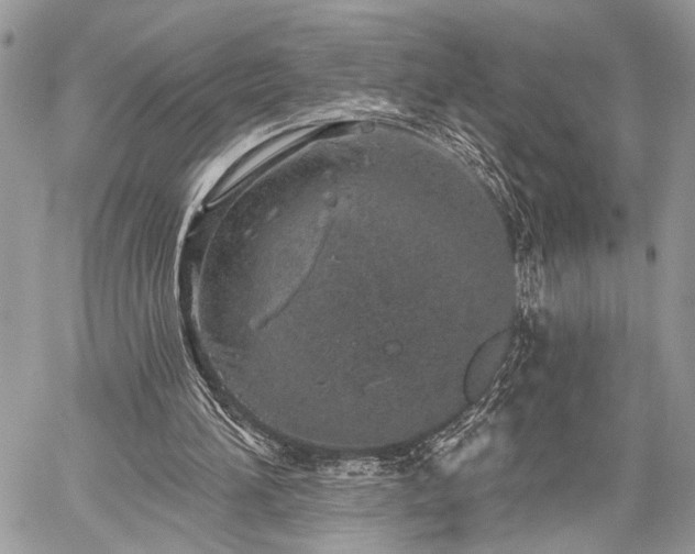 X0000059820196200510241404