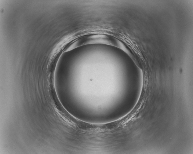 X0000059820197200510241404