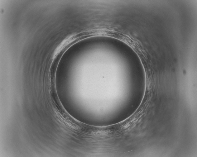 X0000059820198200510241404