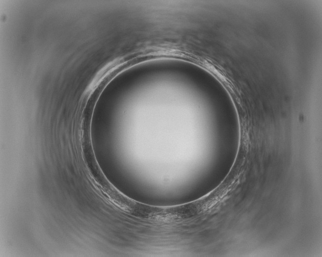 X0000059820199200510241404