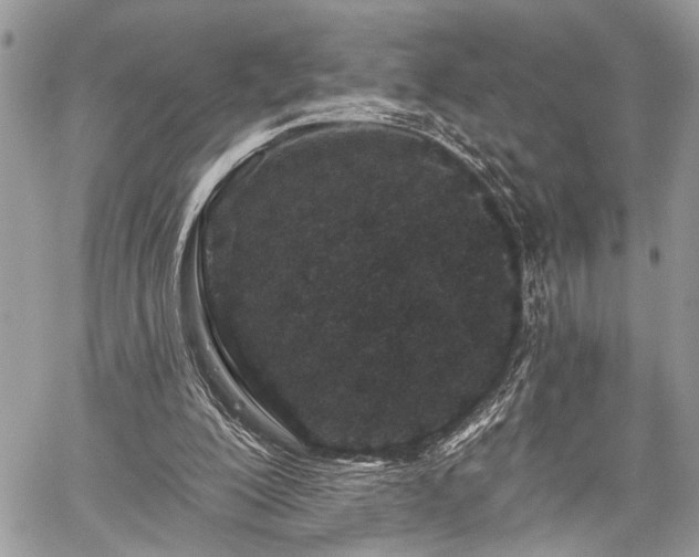 X0000059820200200510241404