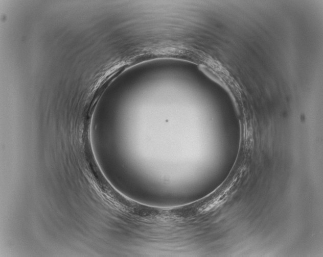 X0000059820201200510241404