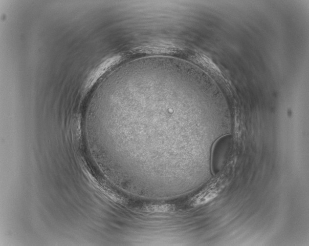 X0000059820202200510241404