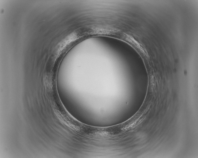 X0000059820203200510241404