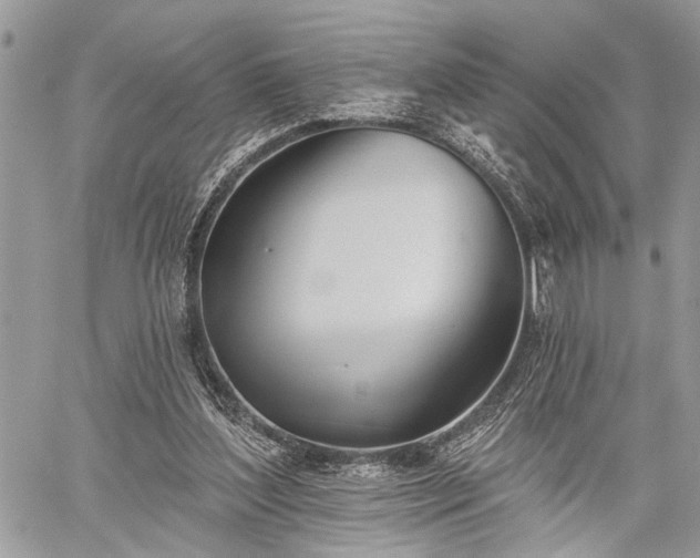 X0000059820204200510241404