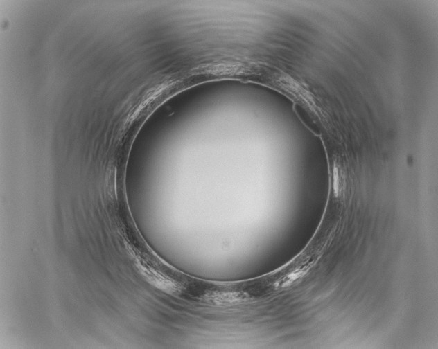 X0000059820205200510241404