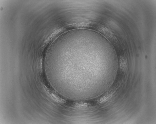 X0000059820206200510241404