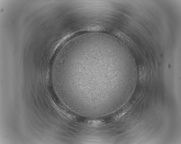 X0000059820208200510241404