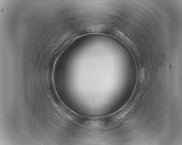 X0000059820209200510241404