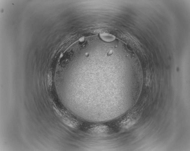 X0000059820210200510241404