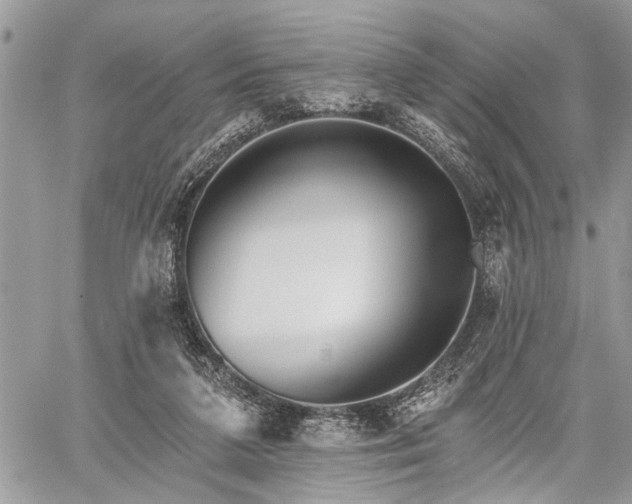 X0000059820211200510241404