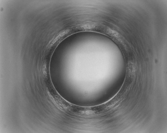 X0000059820212200510241404