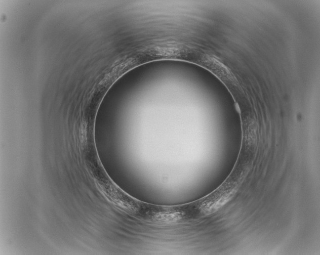 X0000059820213200510241404