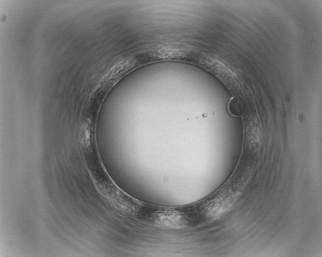 X0000059820214200510241404