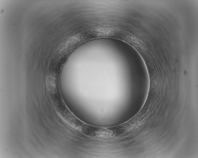 X0000059820215200510241404