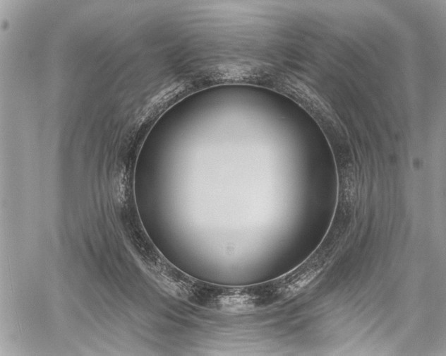 X0000059820216200510241404