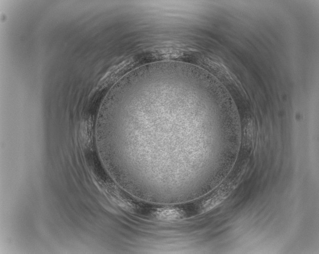 X0000059820218200510241404