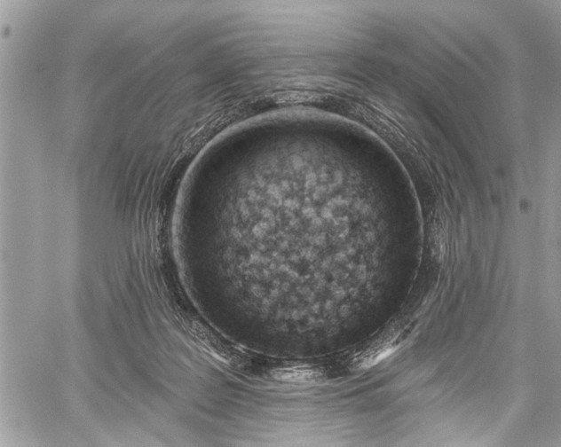 X0000059820219200510241404