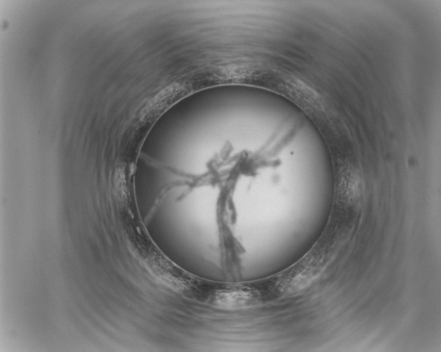 X0000059820220200510241404