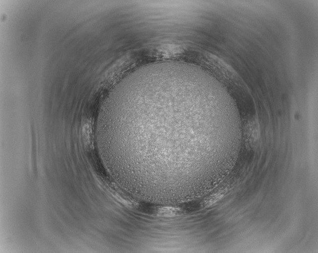 X0000059820222200510241404