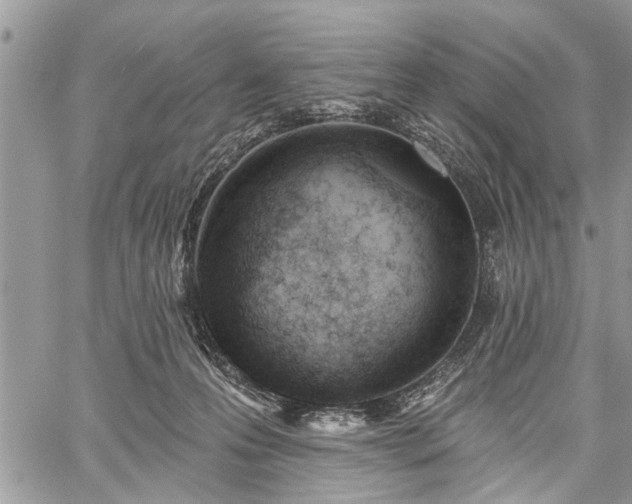 X0000059820223200510241404