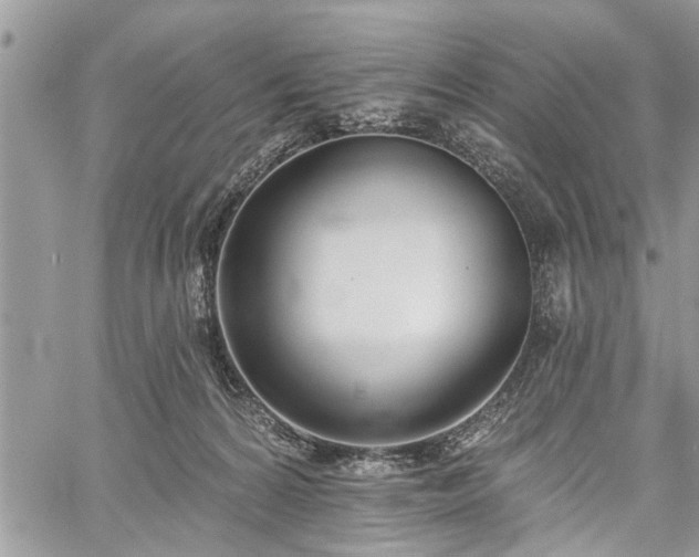 X0000059820224200510241404