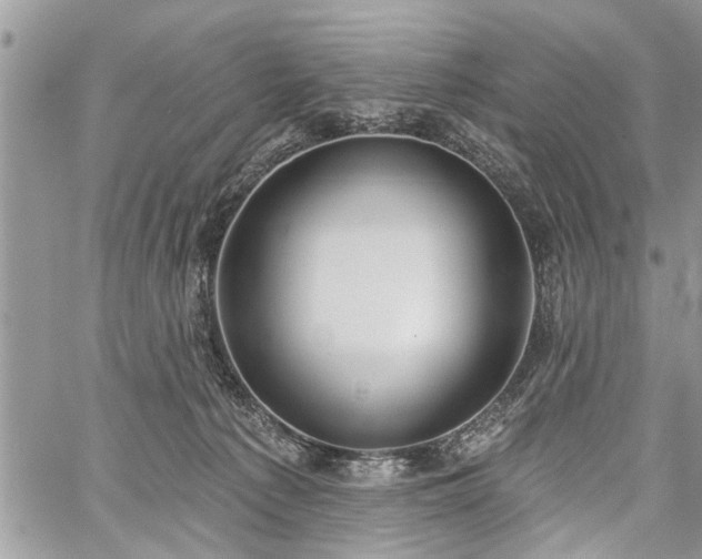 X0000059820225200510241403