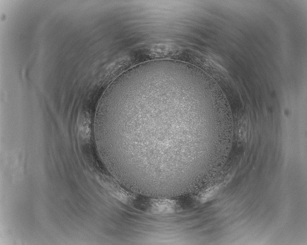 X0000059820226200510241403