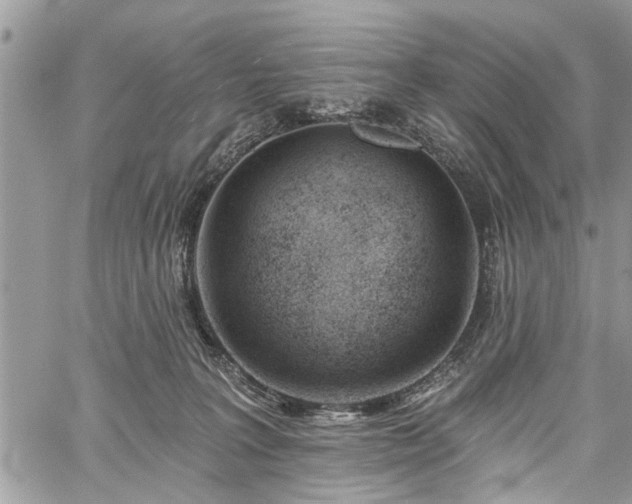 X0000059820227200510241403