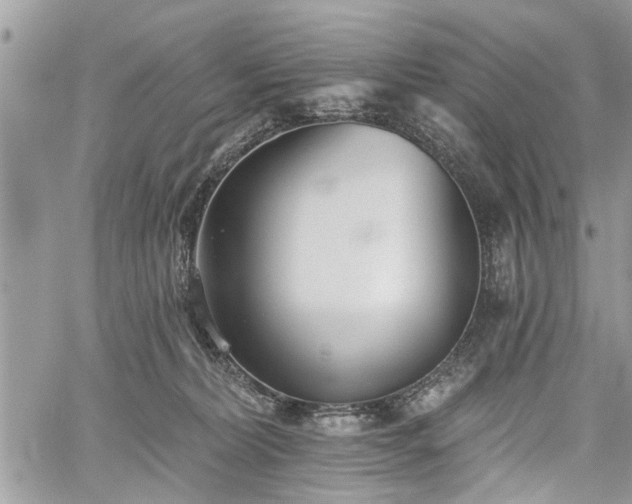 X0000059820228200510241403