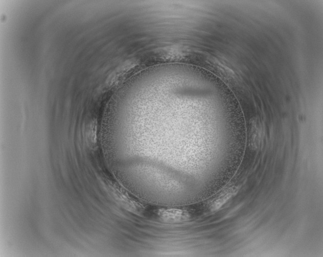 X0000059820230200510241403