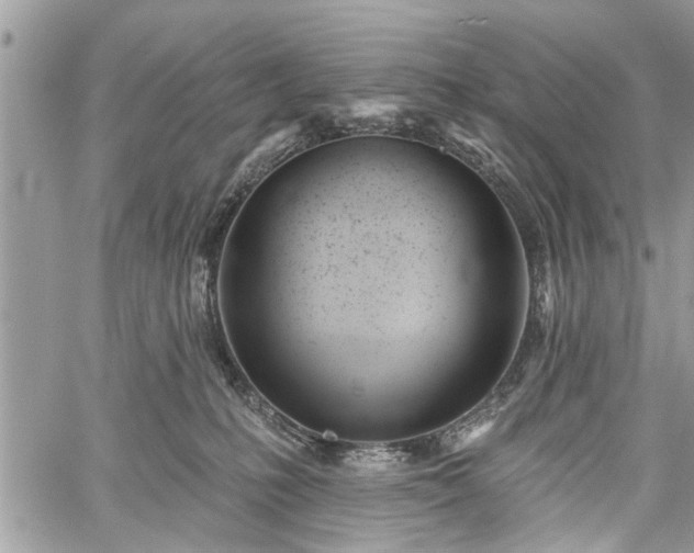 X0000059820231200510241403