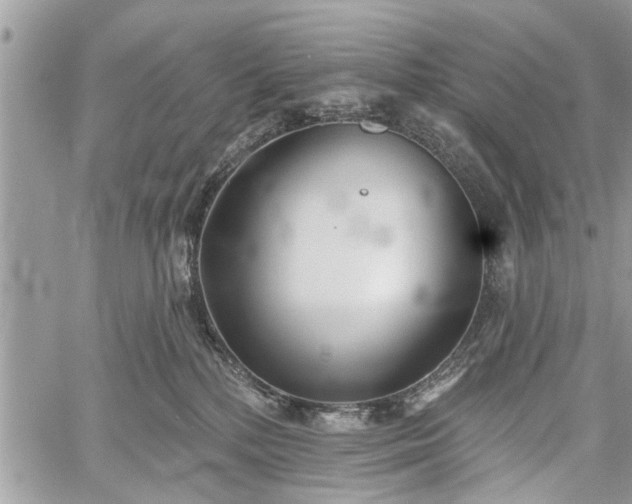 X0000059820232200510241403