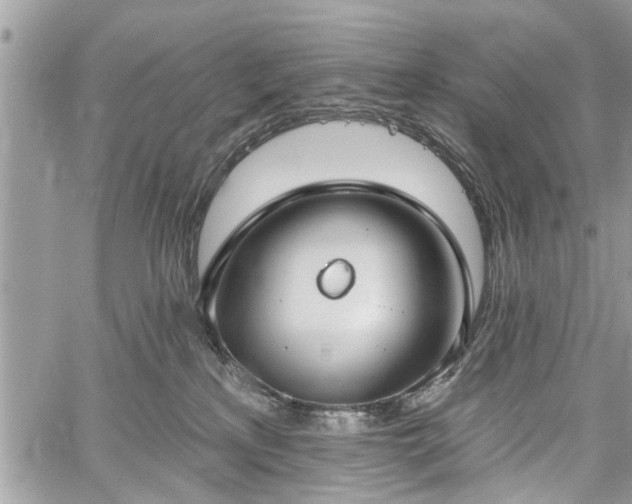 X0000059820233200510241403