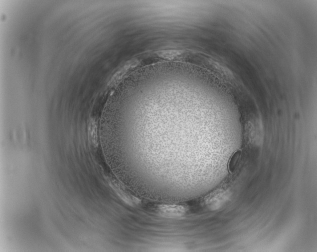 X0000059820234200510241403