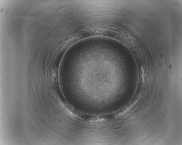 X0000059820235200510241403