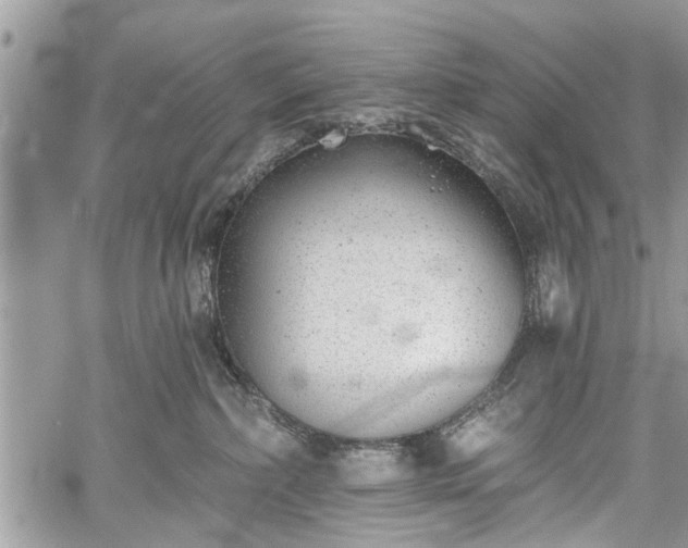 X0000059820236200510241403