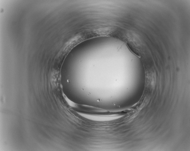 X0000059820237200510241403