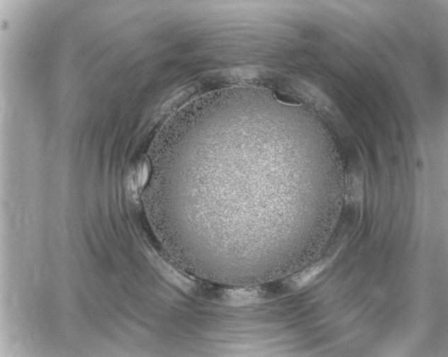 X0000059820238200510241403