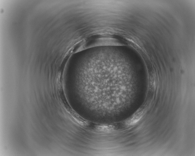 X0000059820239200510241403