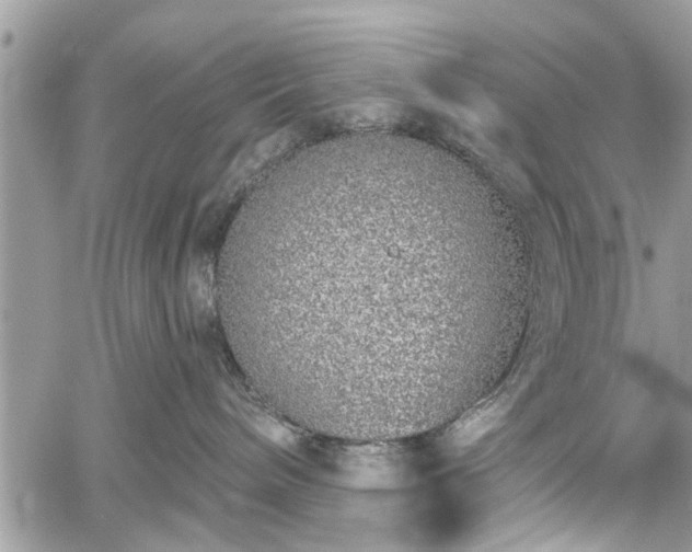 X0000059820240200510241403