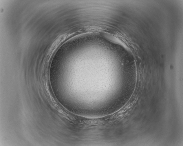 X0000059820241200510241402