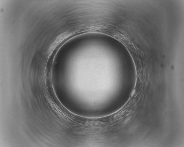 X0000059820242200510241402