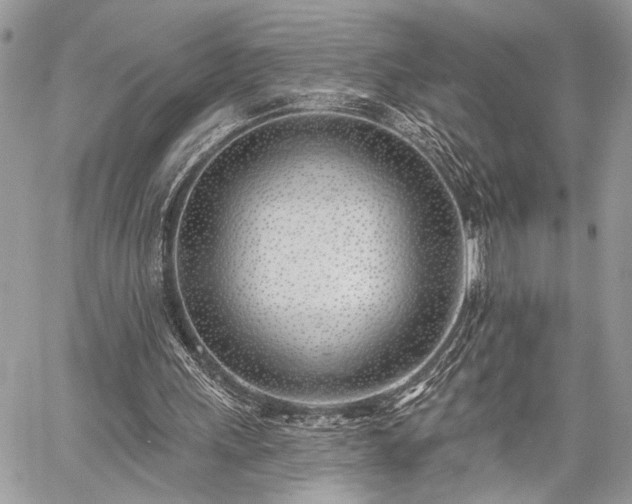 X0000059820243200510241402