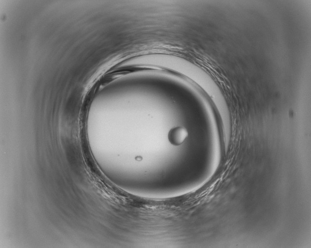 X0000059820244200510241402