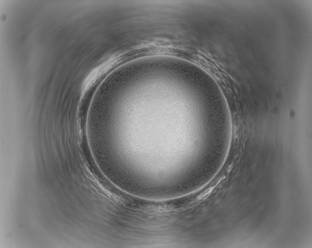 X0000059820245200510241403