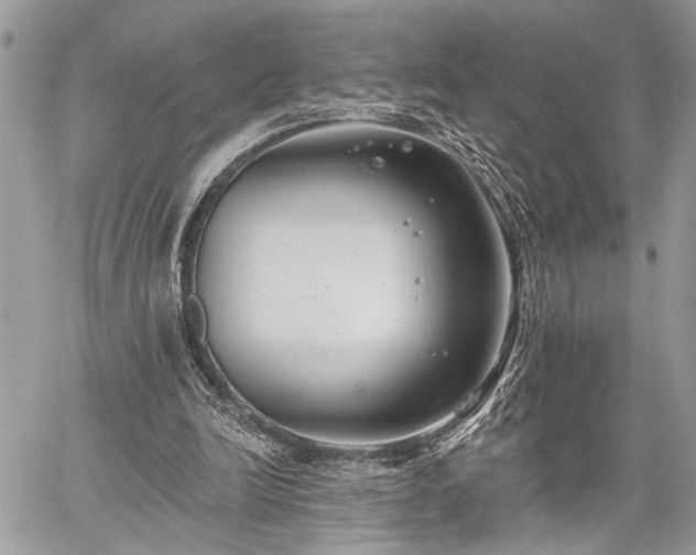 X0000059820246200510241403