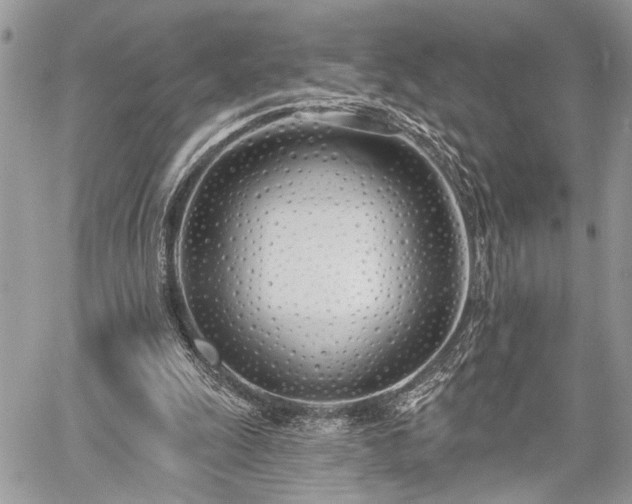 X0000059820247200510241403