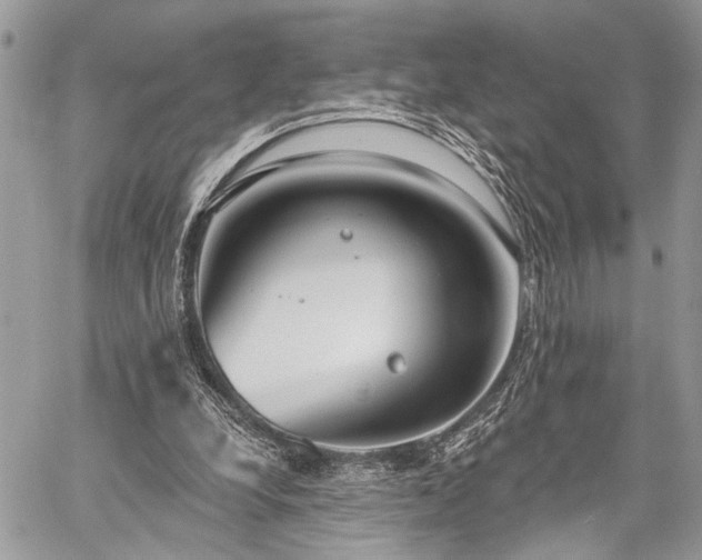 X0000059820248200510241403