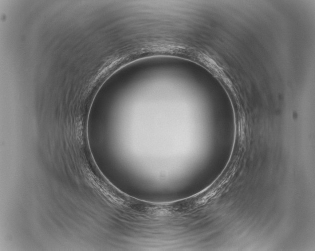 X0000059820249200510241403